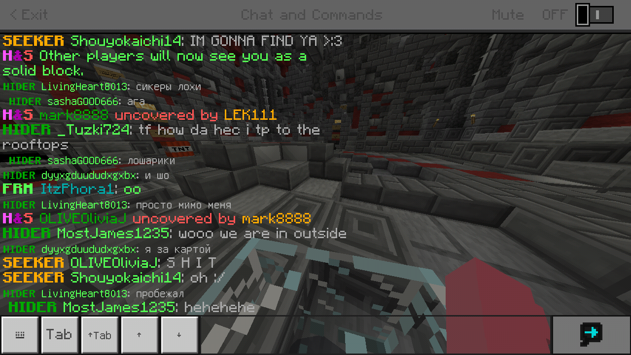 Minecraft_2019-04-10-05-49-37.png