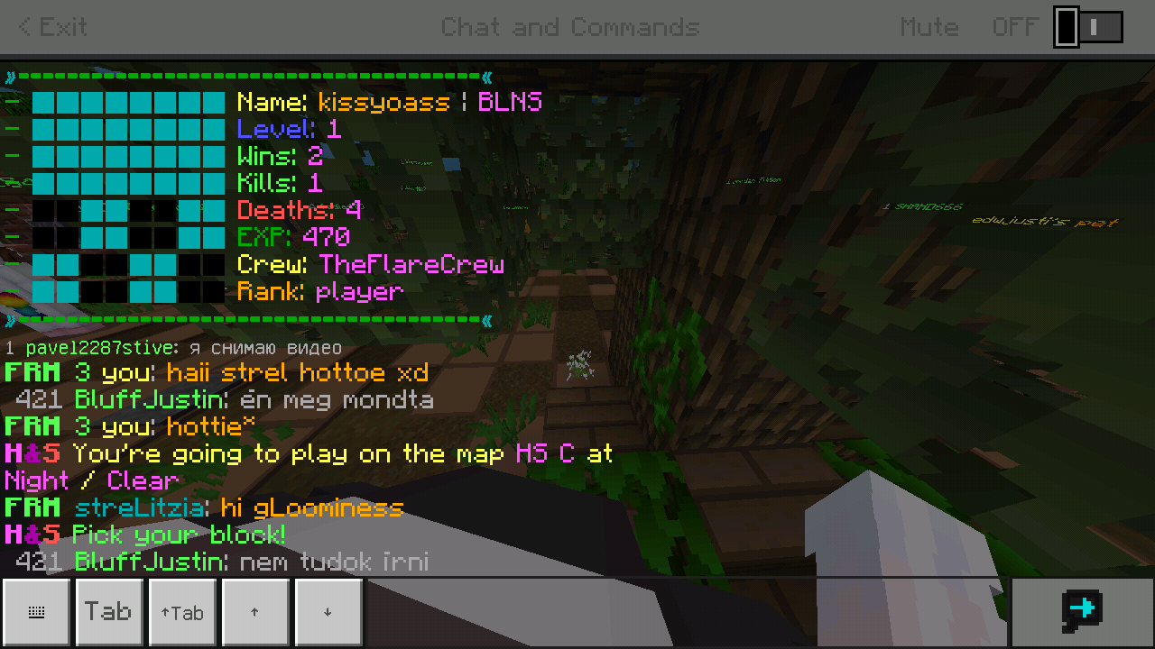 Minecraft_2019-04-12-17-29-57.png