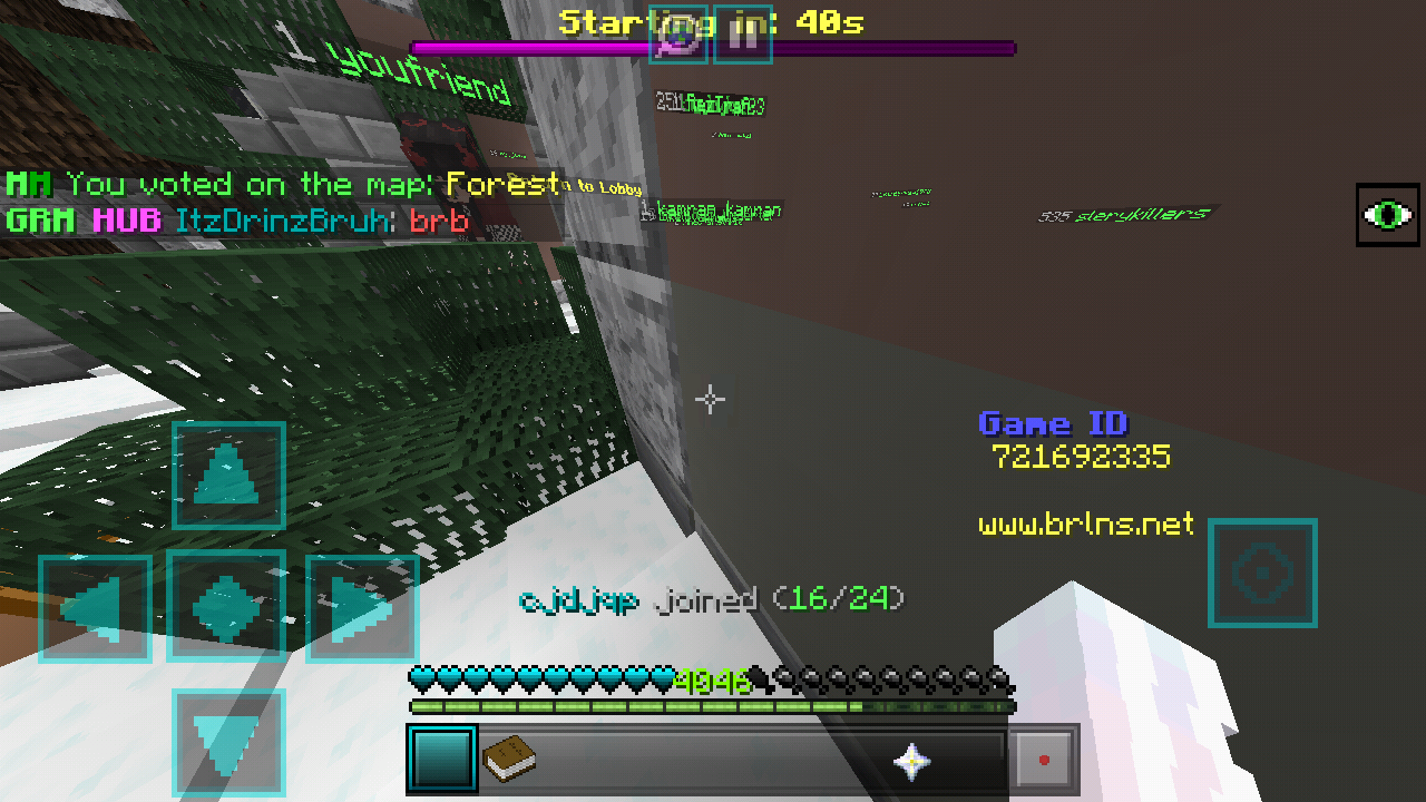 Minecraft_2019-04-13-15-30-10.png