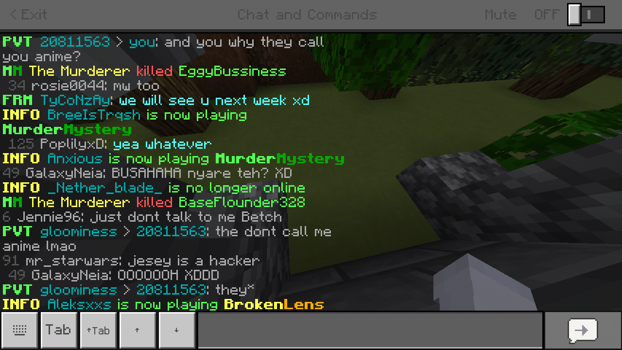 Minecraft_2019-04-15-00-23-53.png