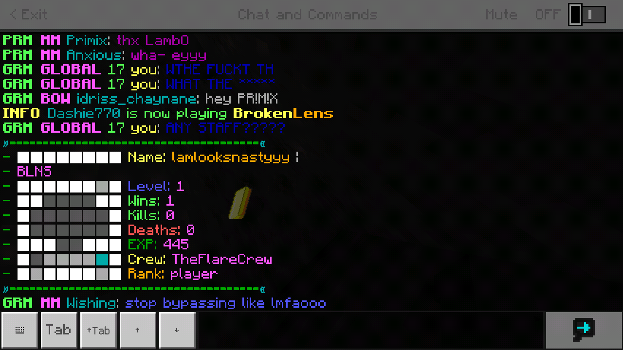 Minecraft_2019-04-25-20-08-36.png