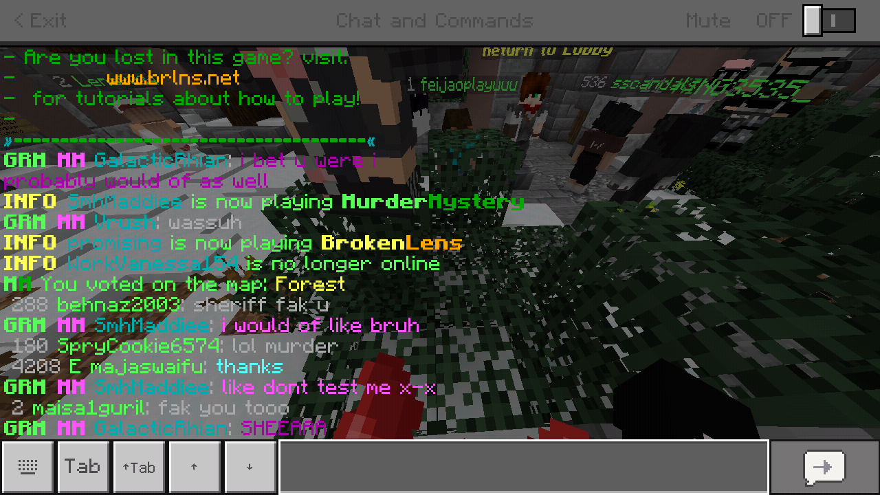 Minecraft_2019-04-29-20-55-39.png