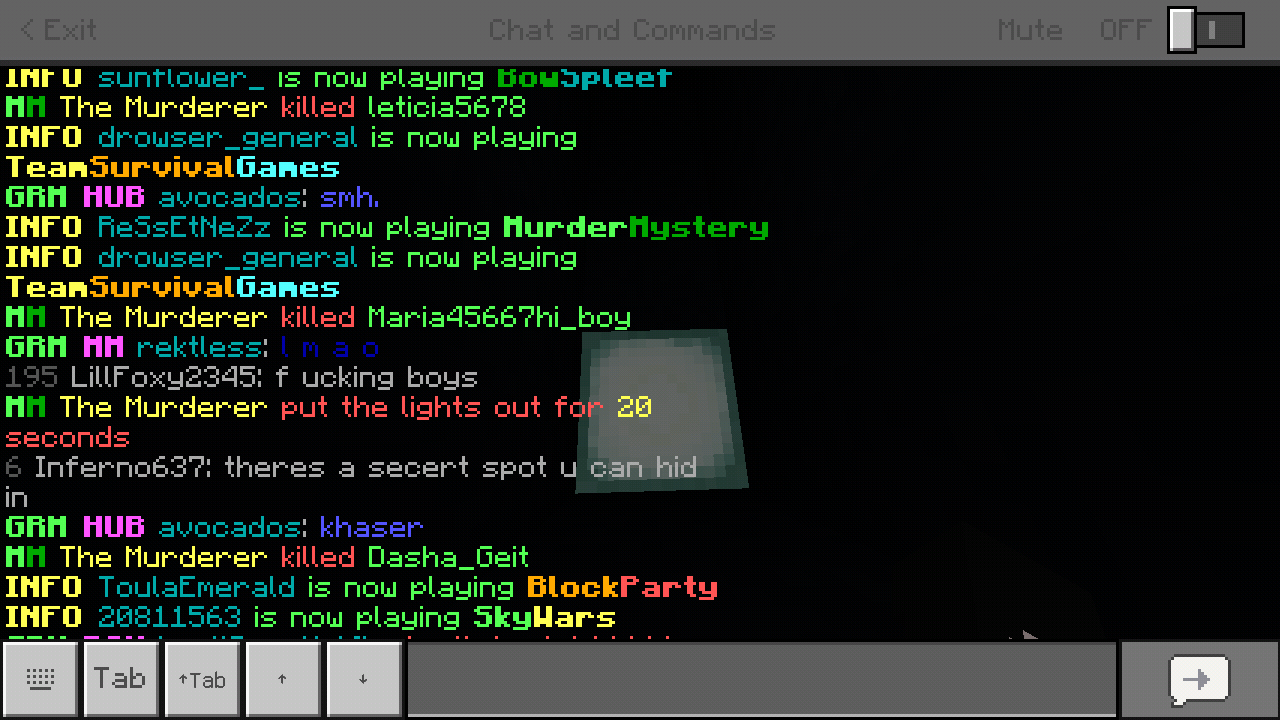 Minecraft_2019-05-04-17-04-40.png