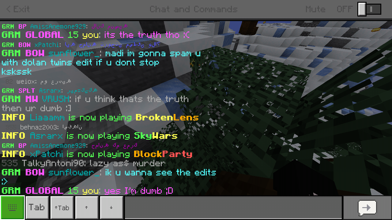 Minecraft_2019-05-04-23-54-00.png