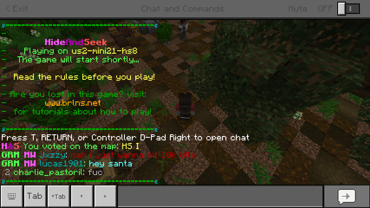 Minecraft_2019-05-06-04-30-45.png