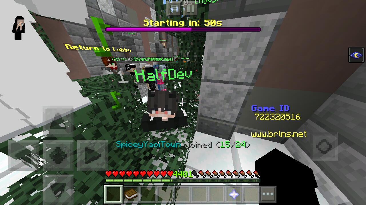 Minecraft_2019-05-13-03-42-21.png