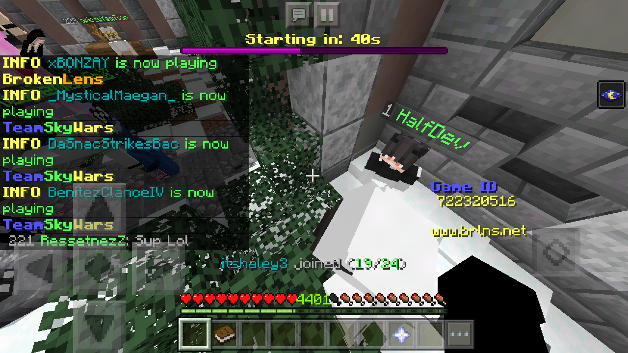 Minecraft_2019-05-13-03-42-31.png