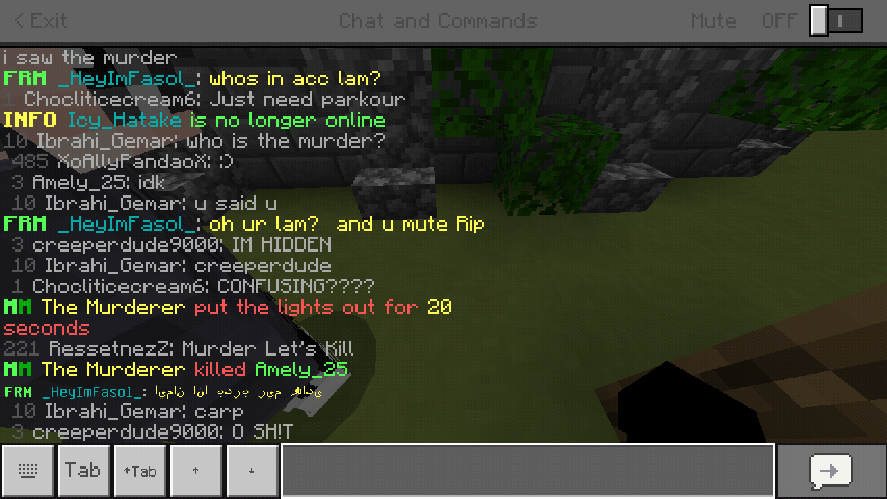 Minecraft_2019-05-13-03-56-01.png