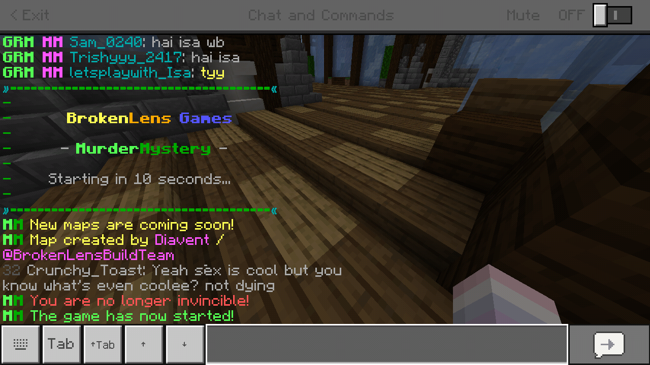 Minecraft_2019-05-16-03-30-57.png