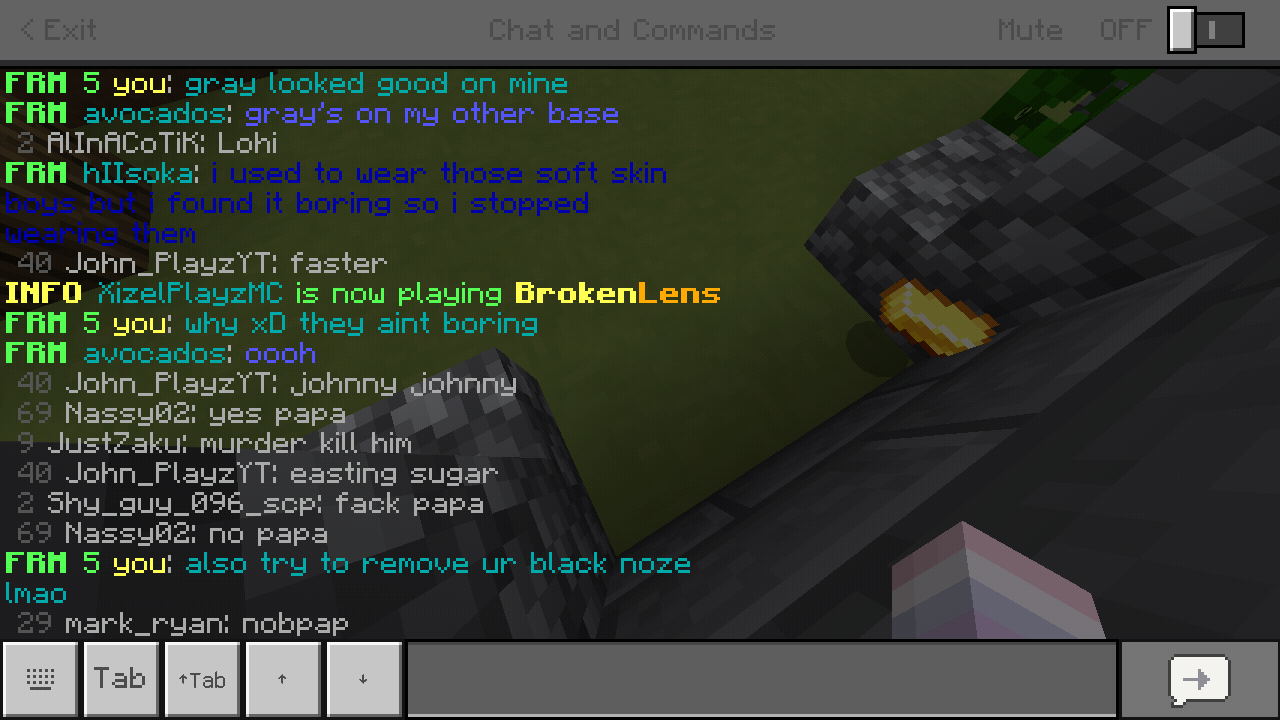 Minecraft_2019-05-16-11-10-06.png