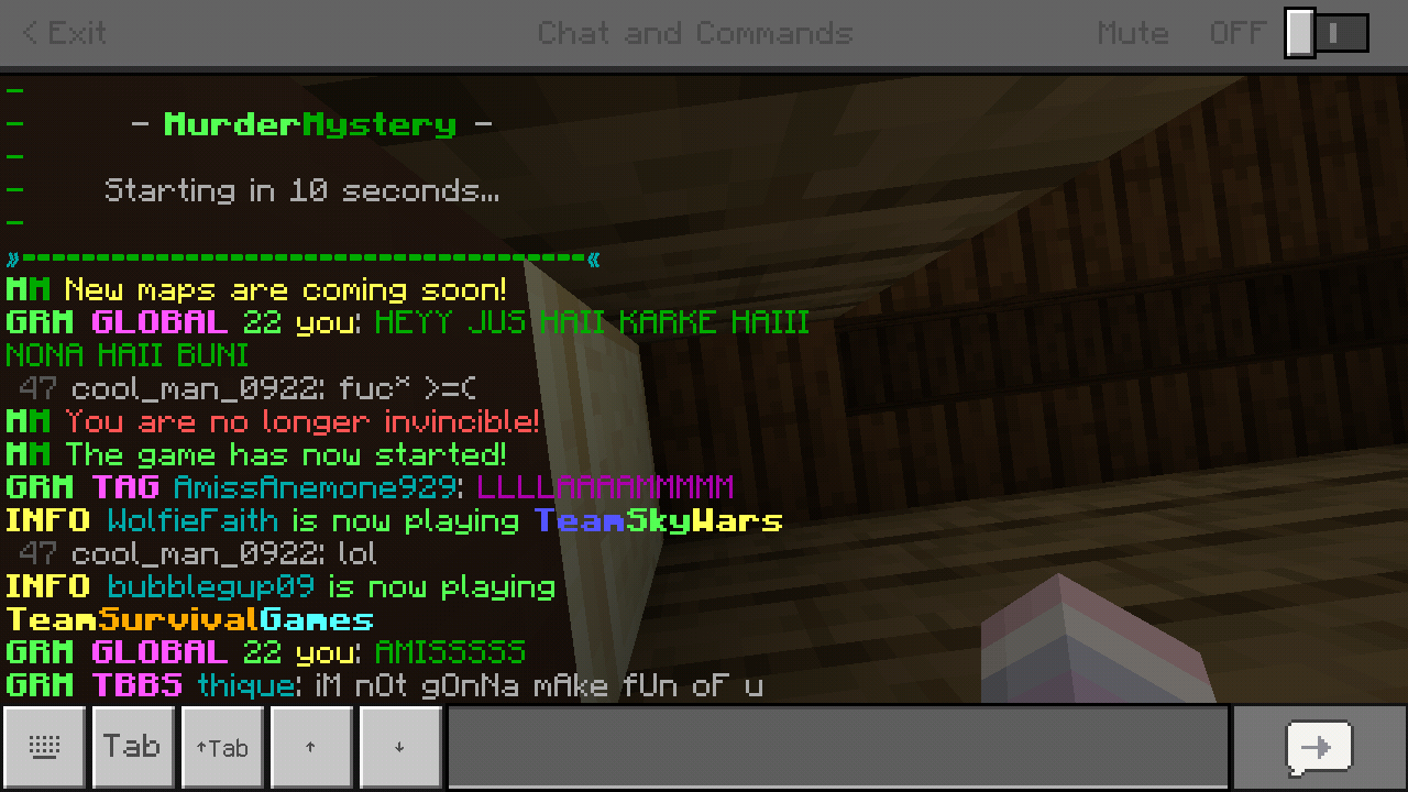 Minecraft_2019-05-17-00-03-45.png