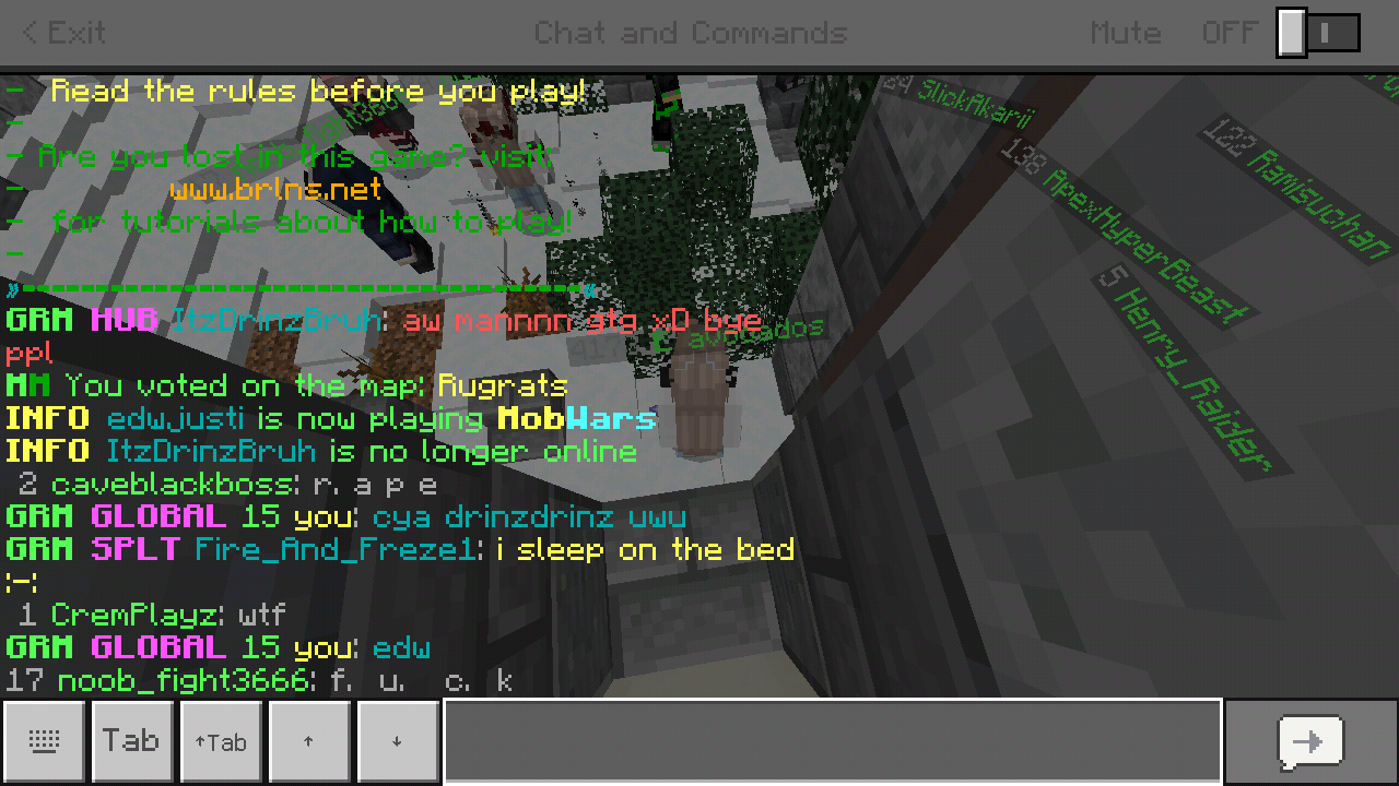 Minecraft_2019-05-22-12-13-40.png