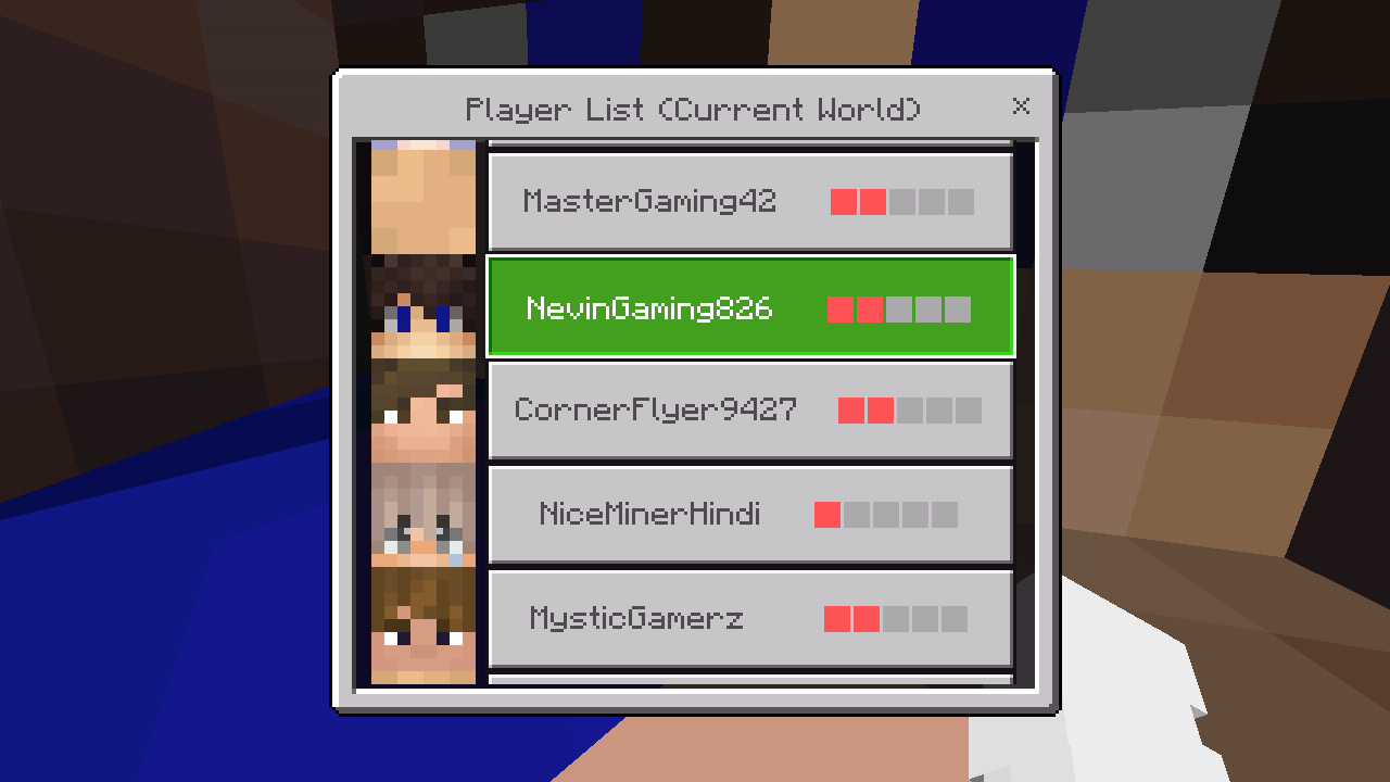Minecraft_2019-05-23-09-23-08.png