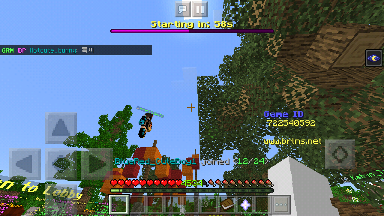 Minecraft_2019-05-23-14-55-35.png