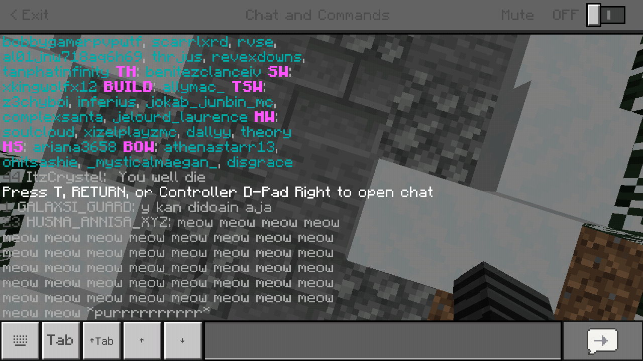 Minecraft_2019-06-09-03-57-18.png