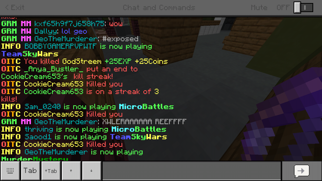 Minecraft_2019-06-11-08-50-38.png