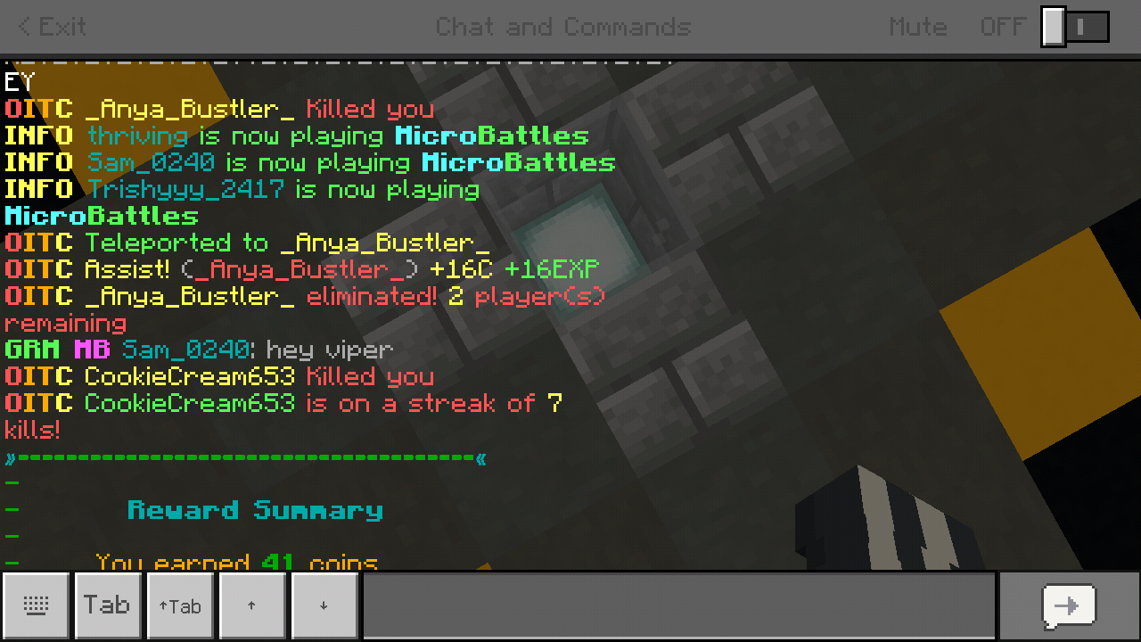Minecraft_2019-06-11-08-51-49.png