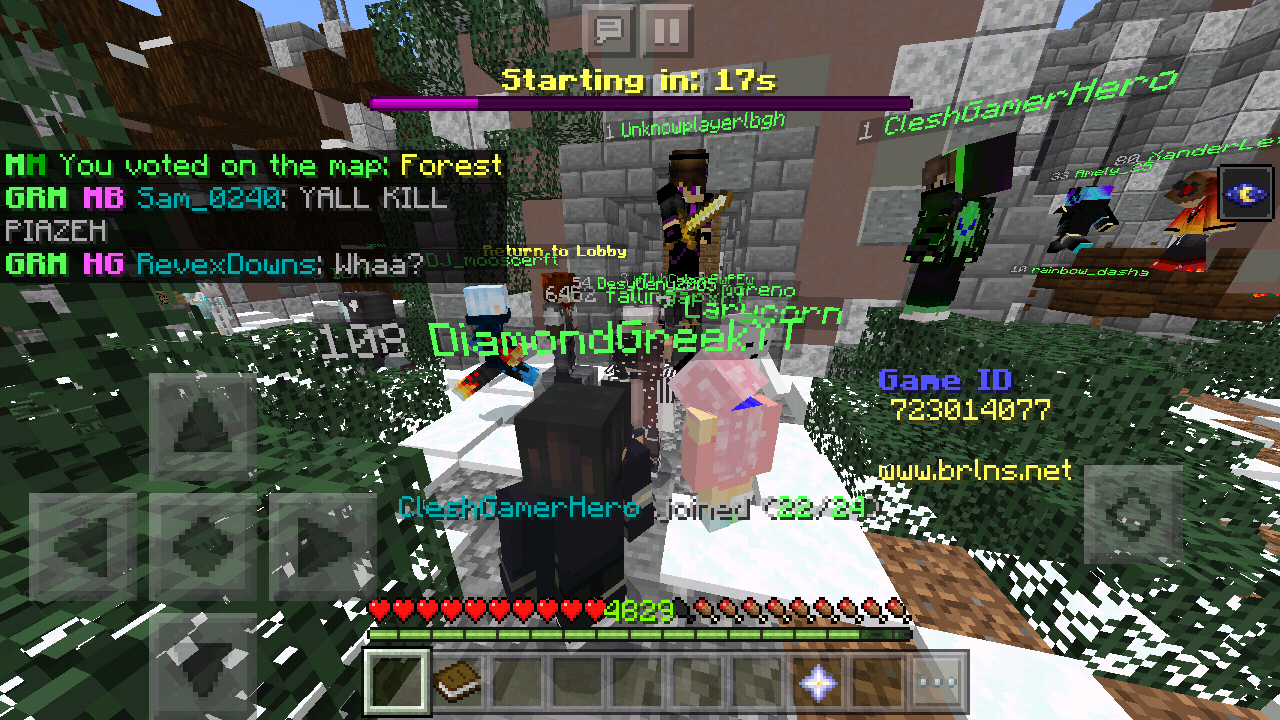 Minecraft_2019-06-12-12-33-32.png