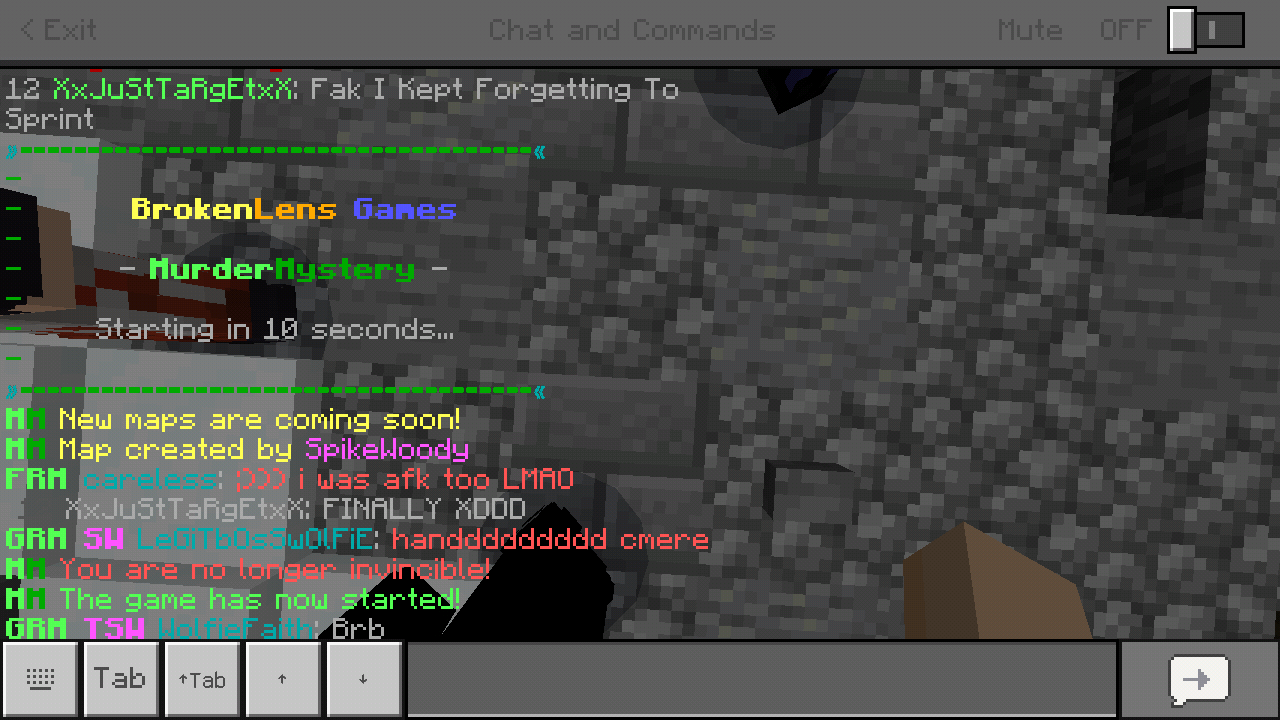Minecraft_2019-06-15-02-15-39.png