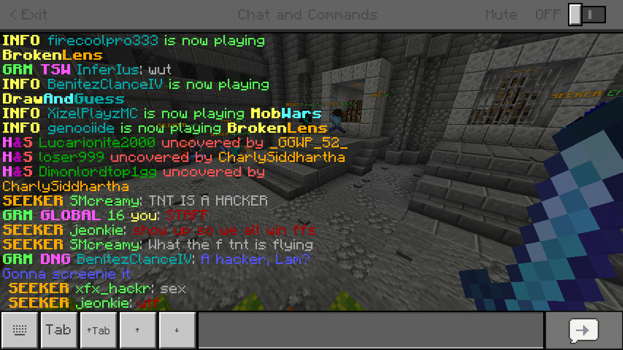 Minecraft_2019-06-15-04-58-57.png