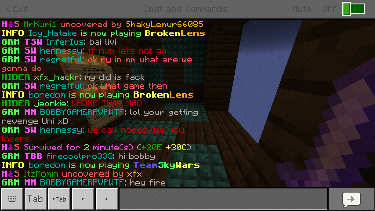 Minecraft_2019-06-15-05-04-00.png