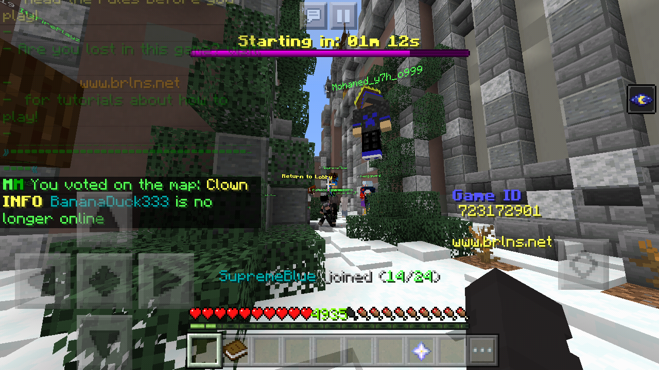 Minecraft_2019-06-19-07-05-14.png