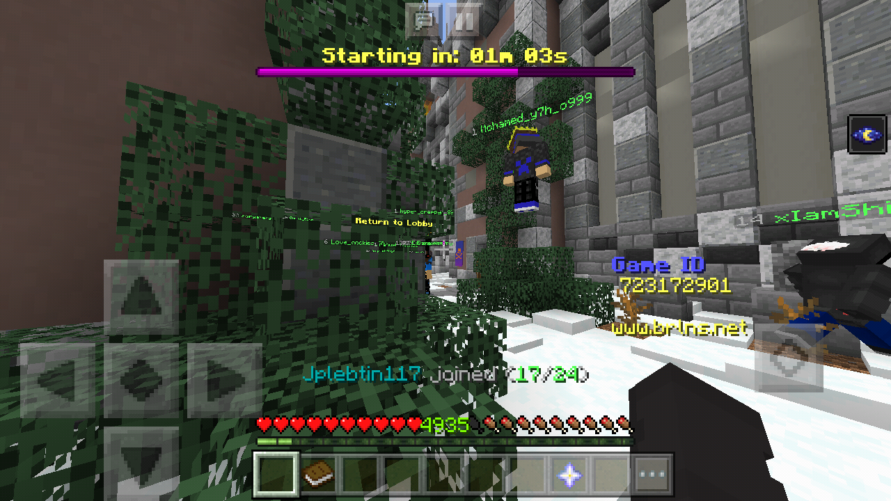 Minecraft_2019-06-19-07-05-21.png