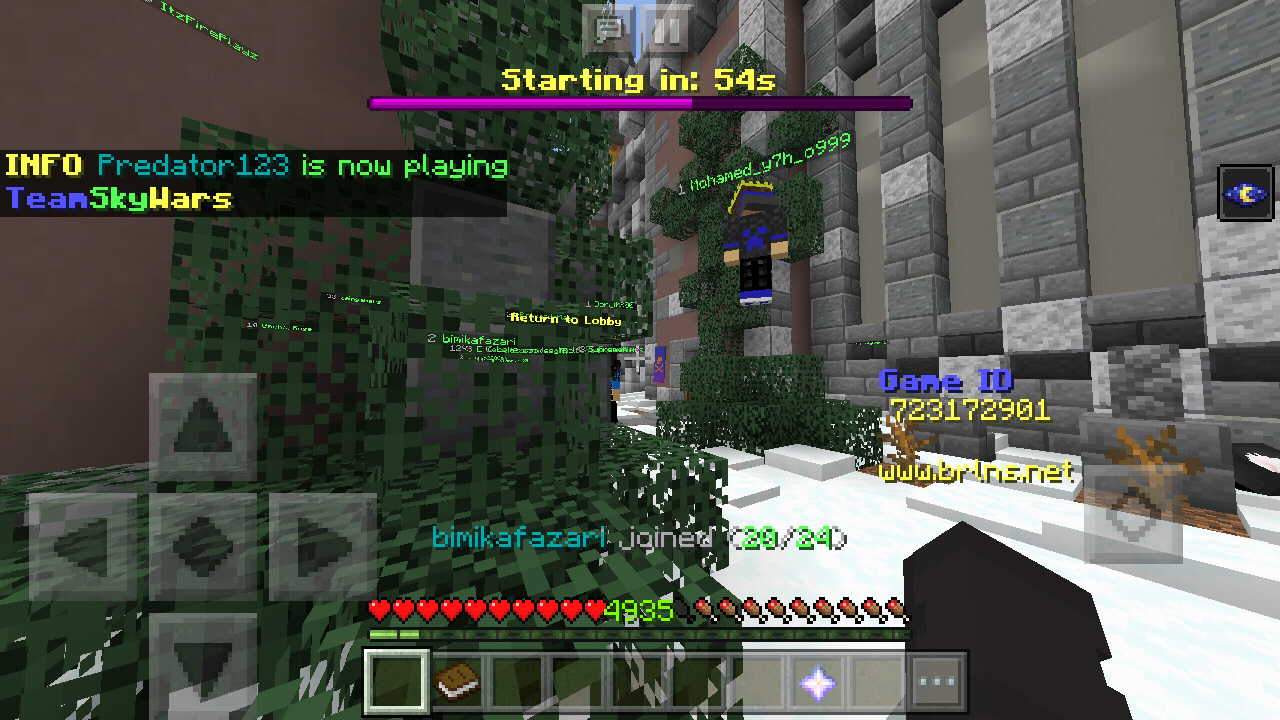 Minecraft_2019-06-19-07-05-30.png