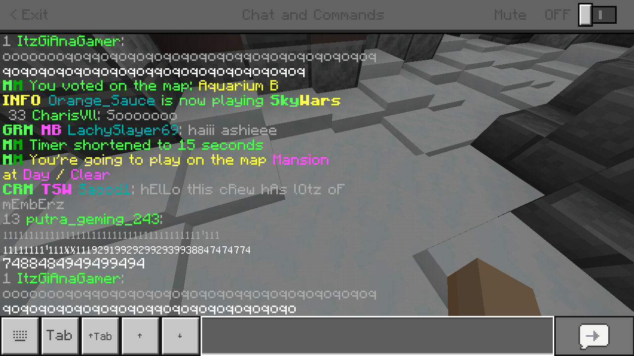 Minecraft_2019-06-20-08-05-48.png