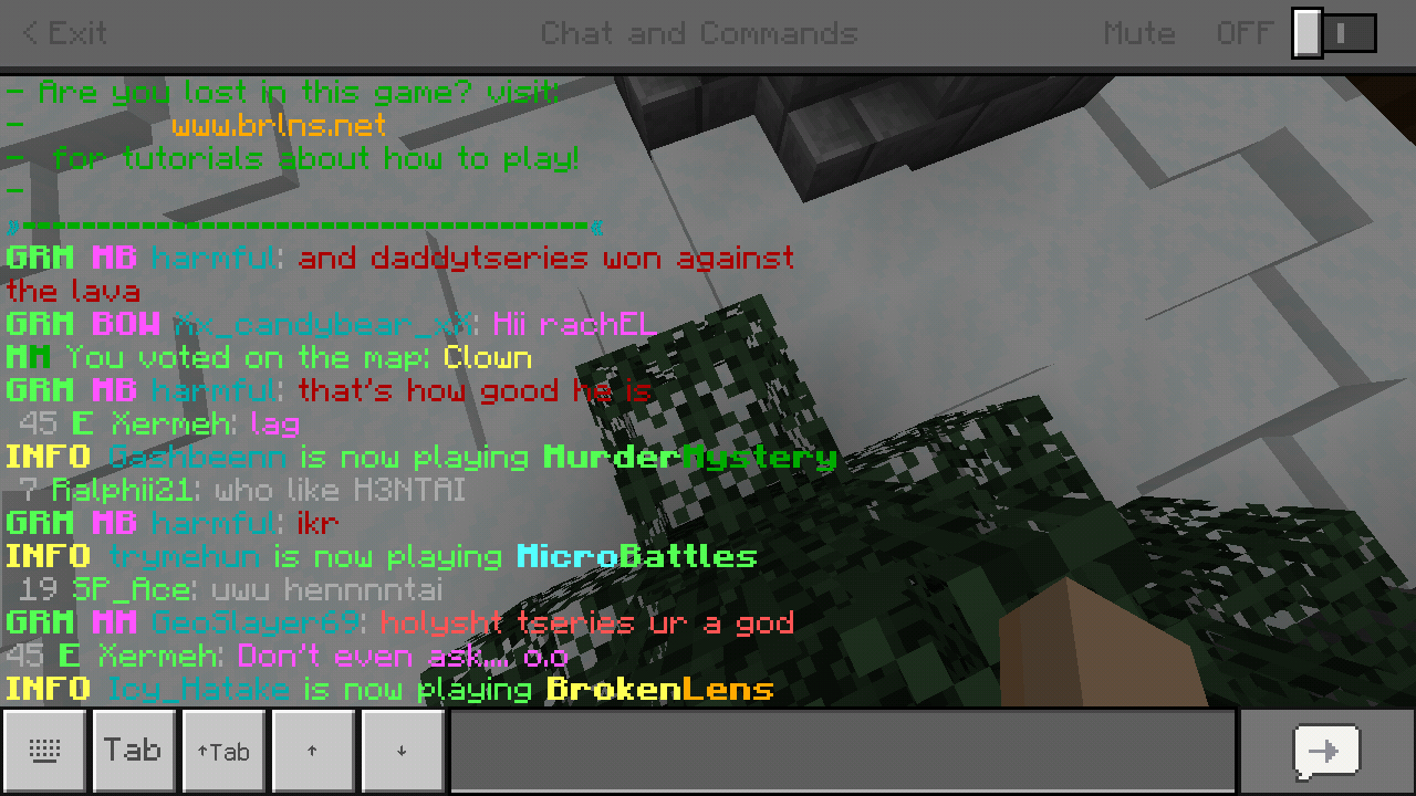 Minecraft_2019-06-22-23-01-06.png