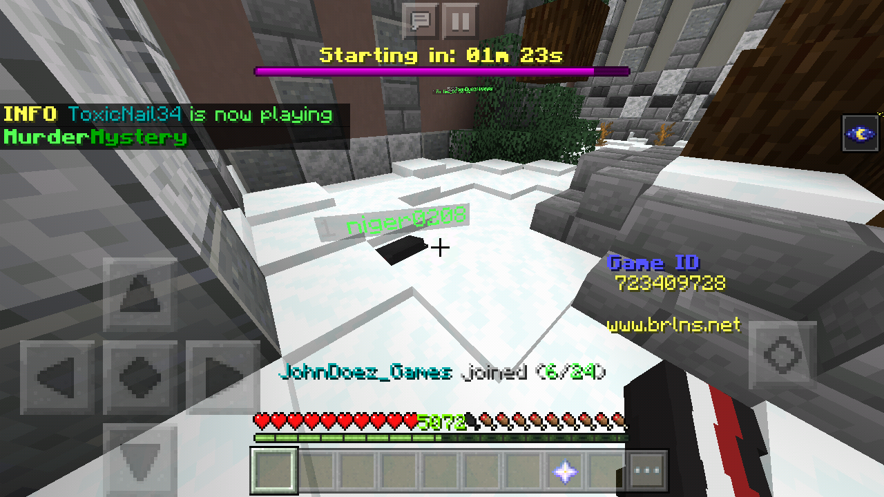 Minecraft_2019-06-28-13-46-00.png