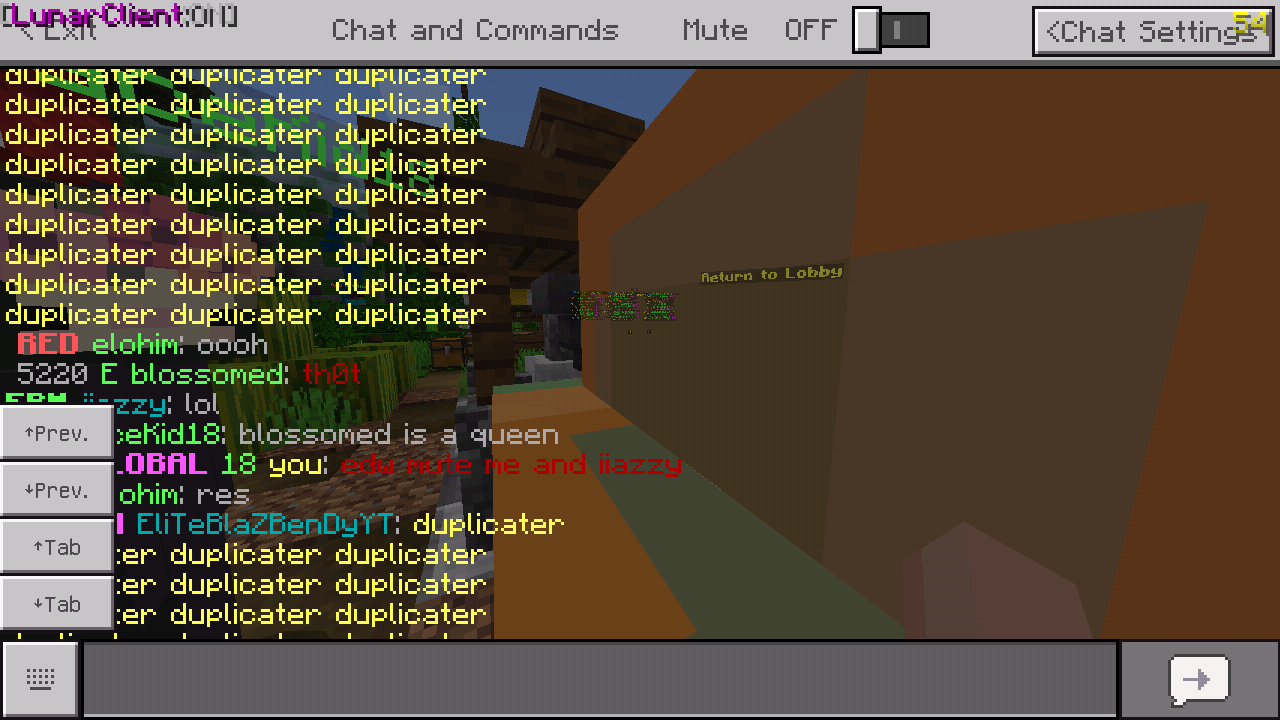 Minecraft_2019-07-01-21-50-32.png