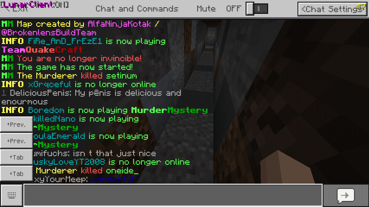 Minecraft_2019-07-02-21-37-50.png