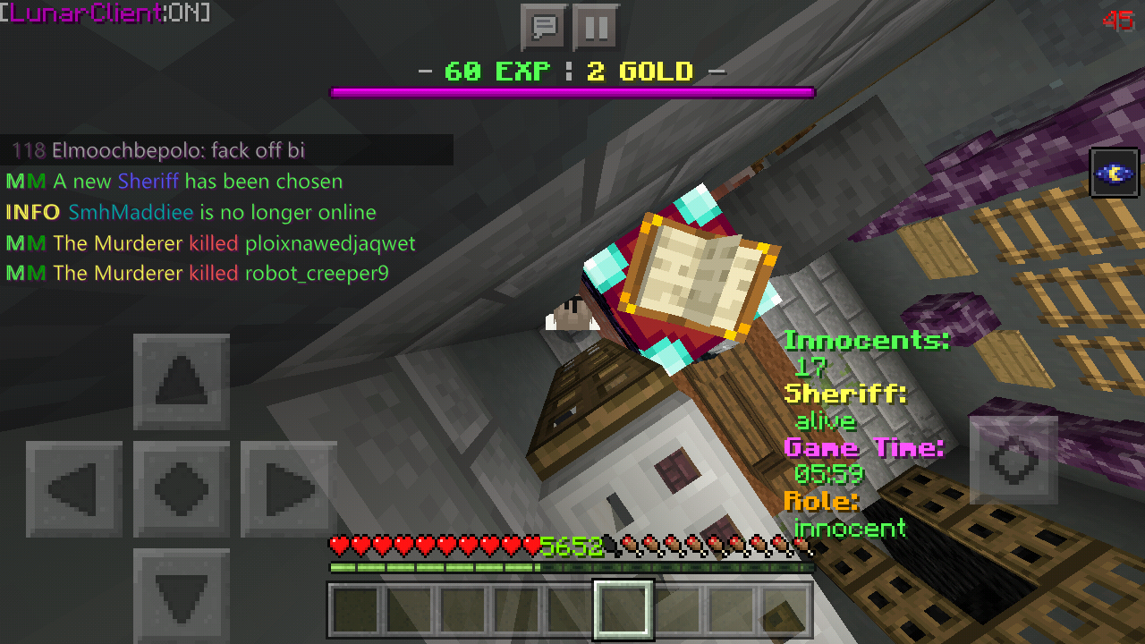 Minecraft_2019-07-20-23-23-53.png