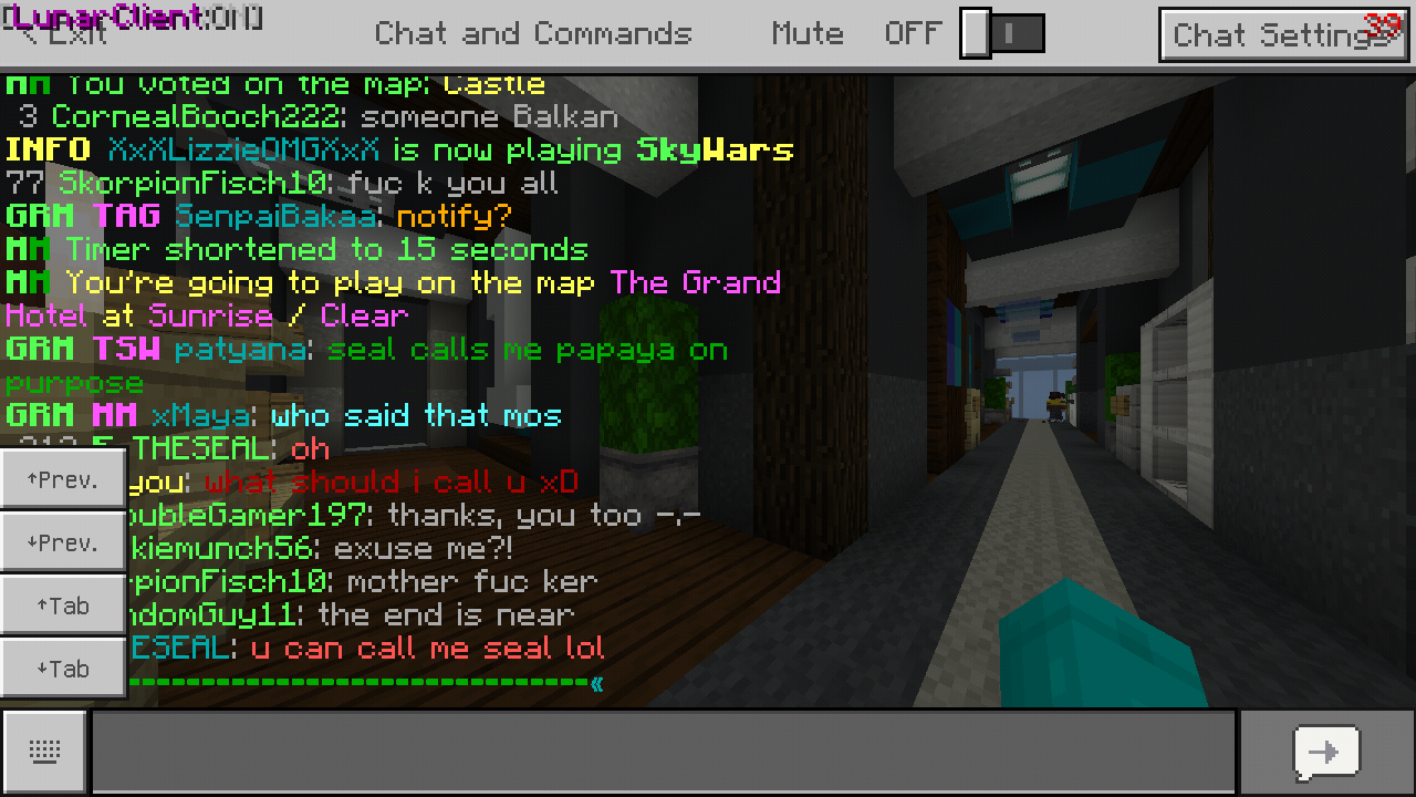Minecraft_2019-07-22-13-08-17.png