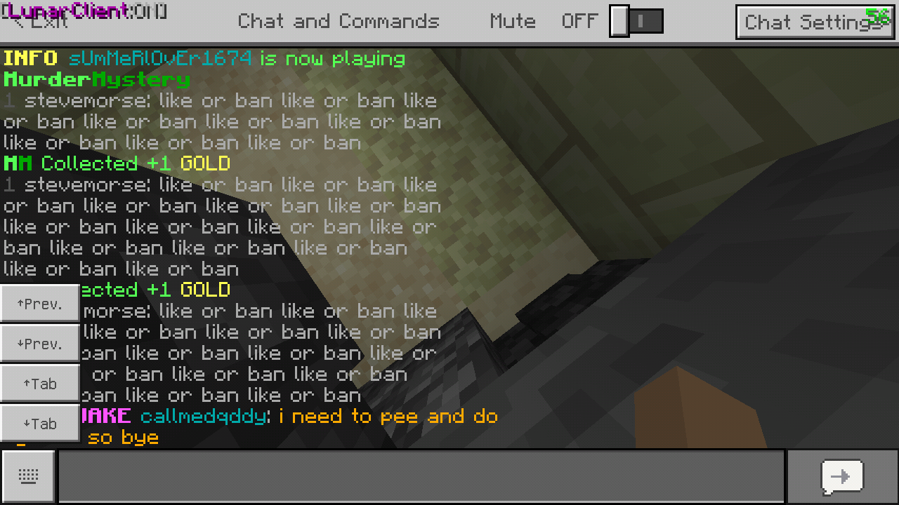 Minecraft_2019-07-24-02-50-30.png