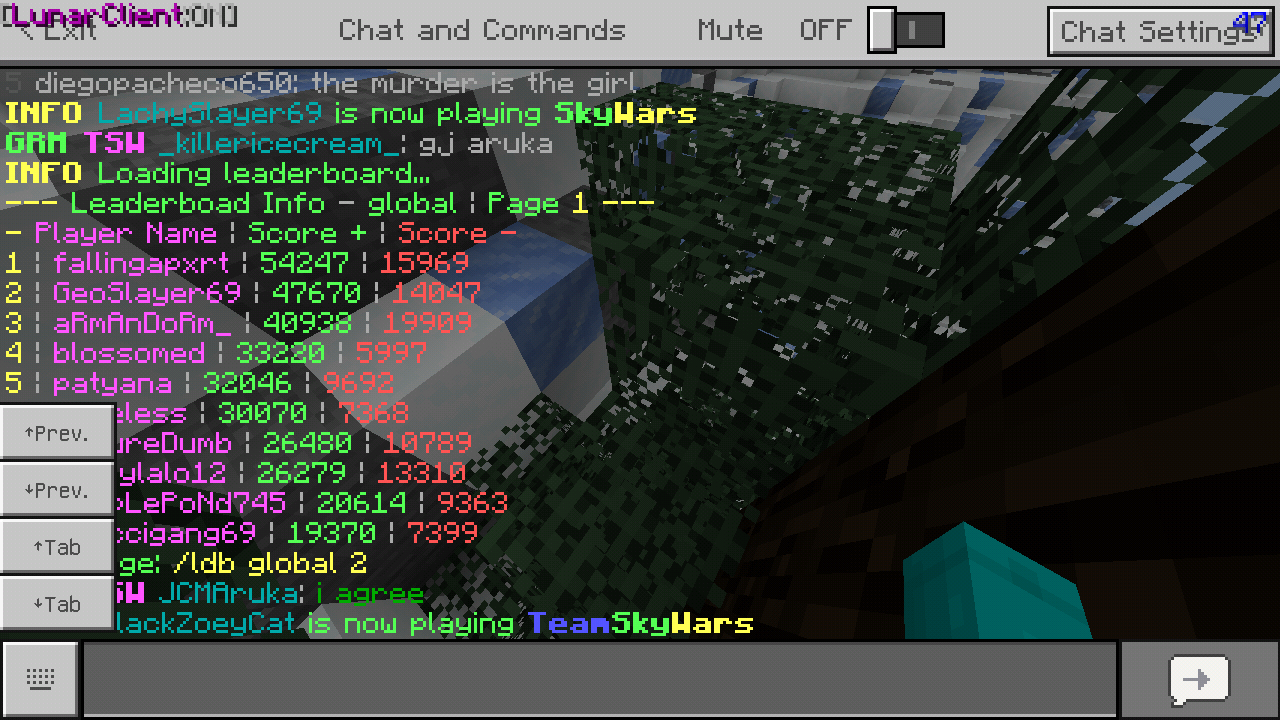 Minecraft_2019-07-25-18-42-31.png
