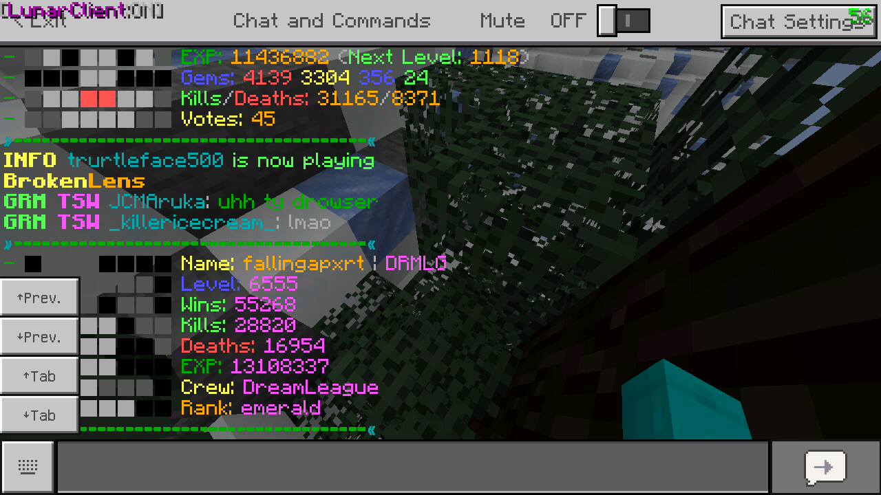 Minecraft_2019-07-25-18-42-55.png