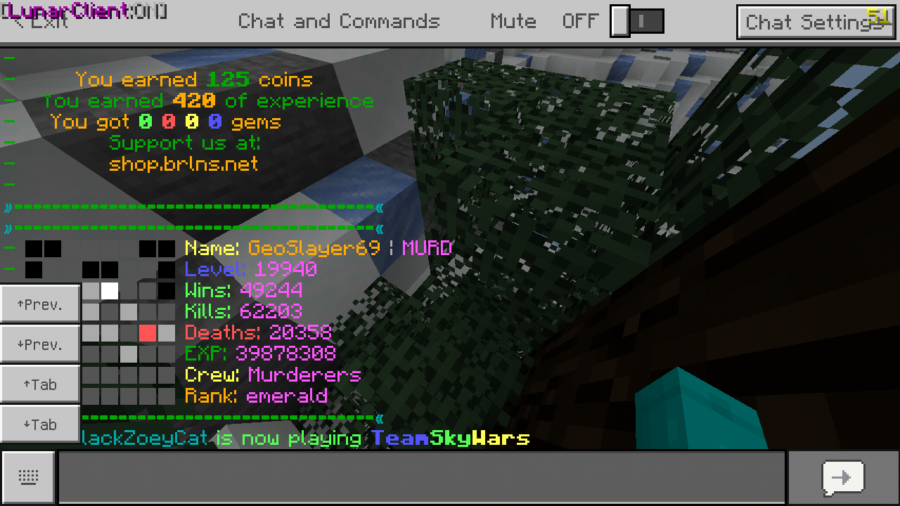 Minecraft_2019-07-25-18-43-05.png