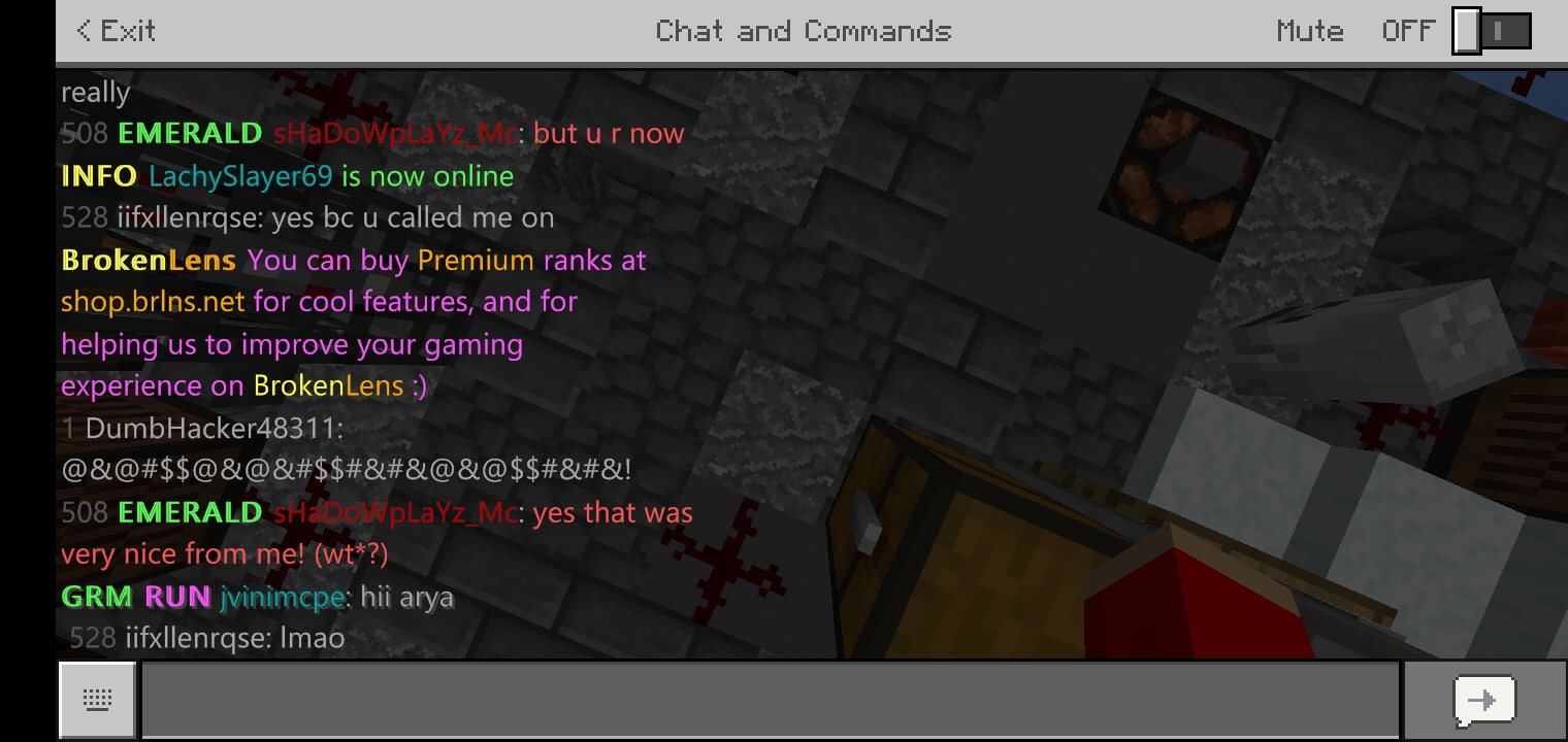 Minecraft_2019-11-03-21-37-37.jpg