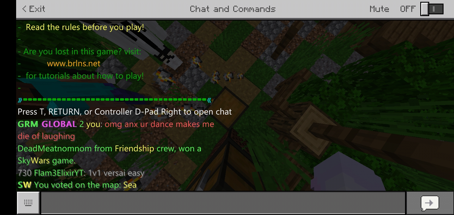 Minecraft_2019-11-09-02-19-43.jpg