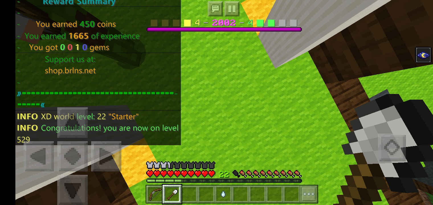 Minecraft_2019-11-09-06-53-08.jpg