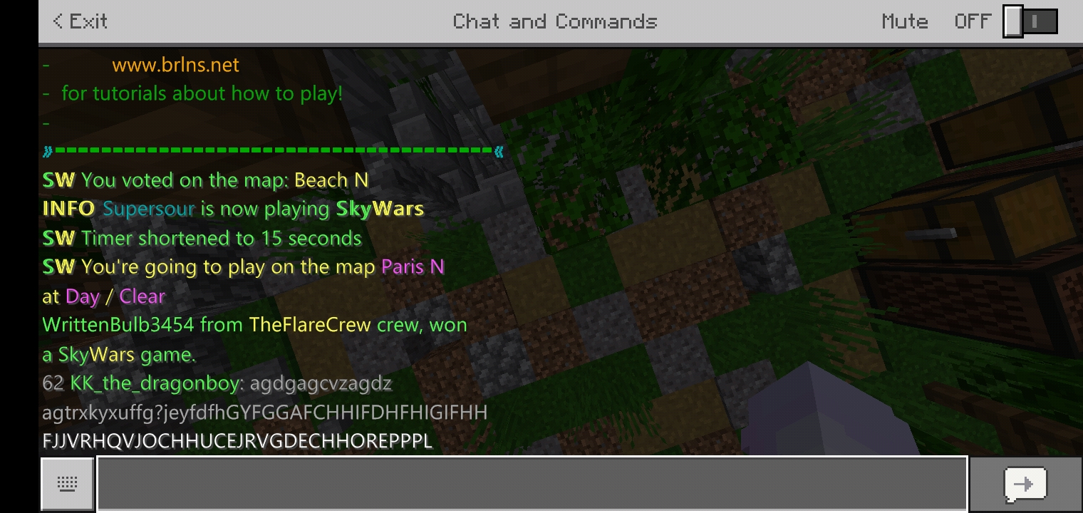 Minecraft_2019-11-10-10-04-02.jpg