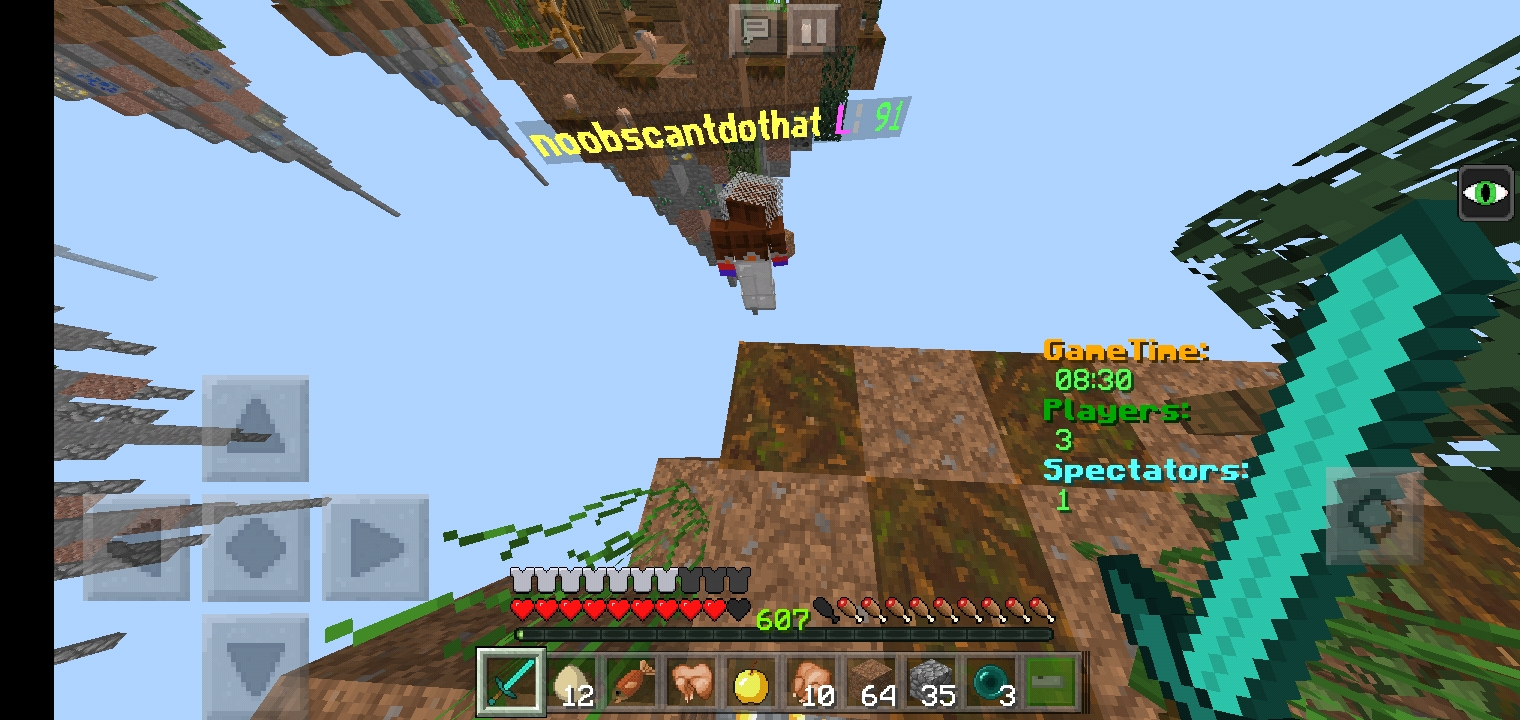 Minecraft_2019-11-25-09-45-40.jpg