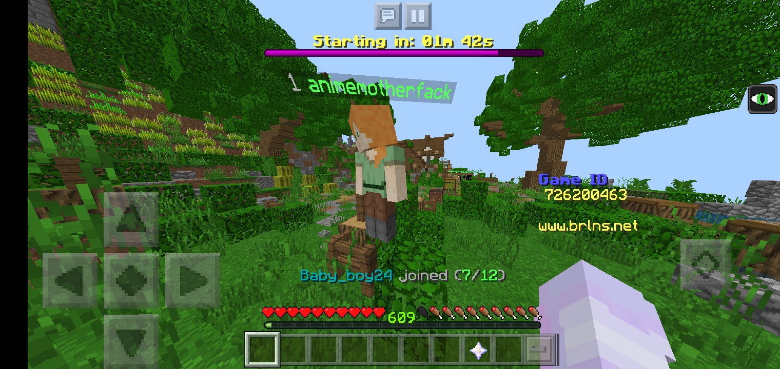 Minecraft_2019-11-25-18-44-33.jpg