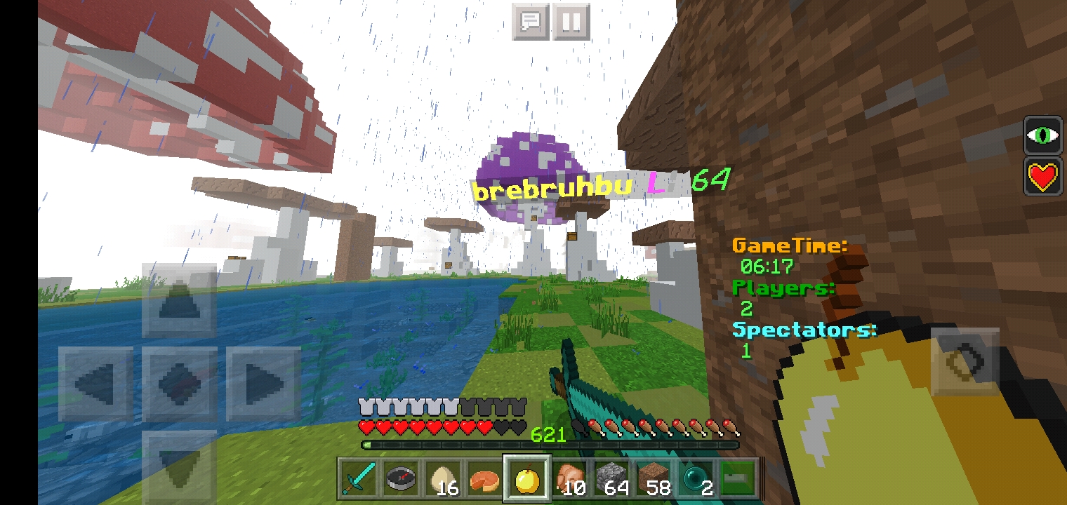 Minecraft_2019-12-01-11-24-31.jpg