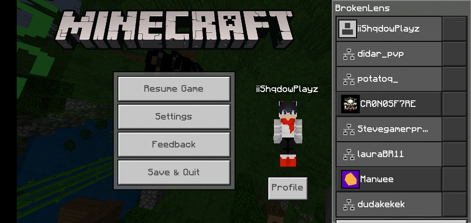 Minecraft_2019-12-03-21-58-27.jpg