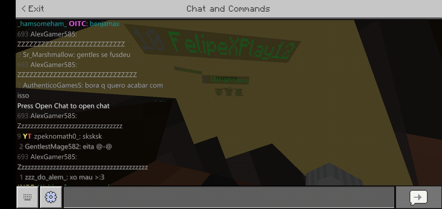 Minecraft_2019-12-31-20-03-55.jpg
