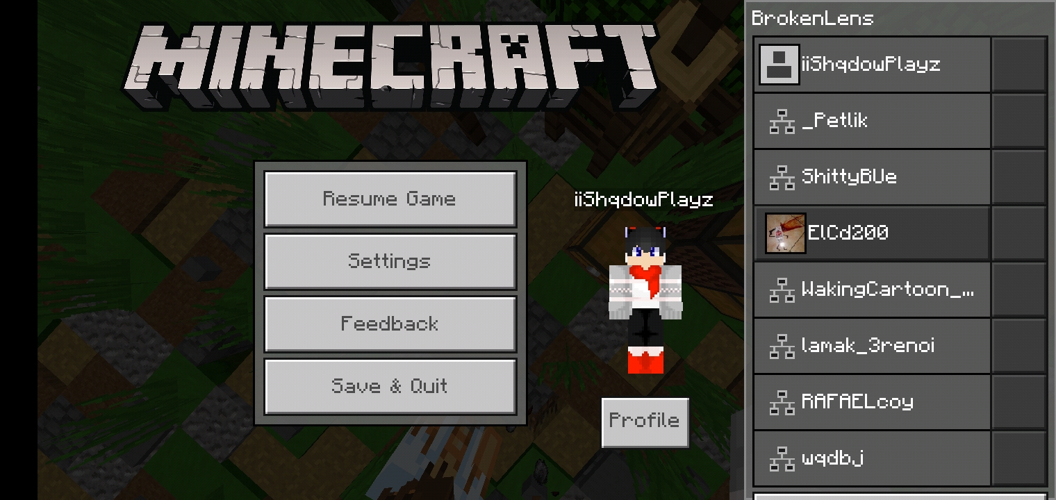 Minecraft_2020-01-01-16-58-19.jpg