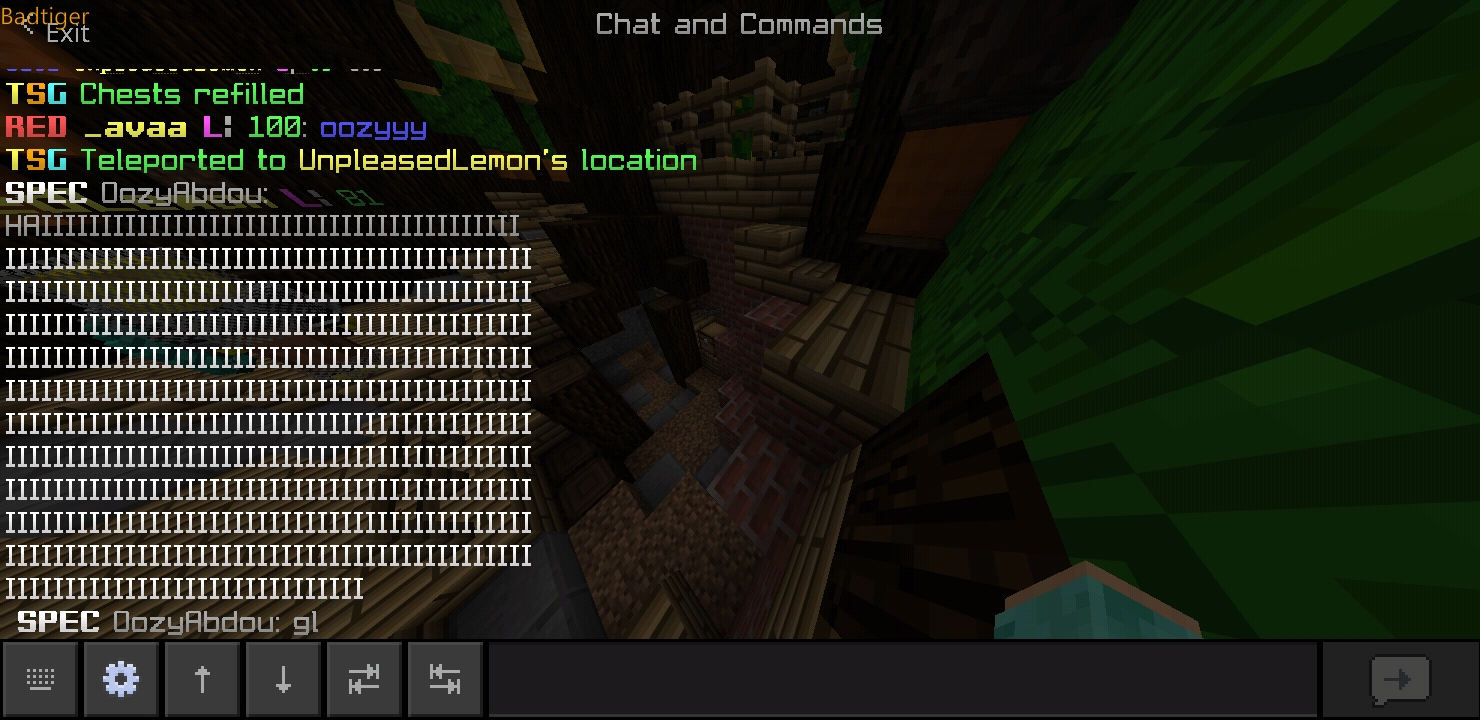Minecraft_2020-05-31-02-00-46.jpg